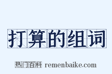 打算的组词是什么意思的图片
